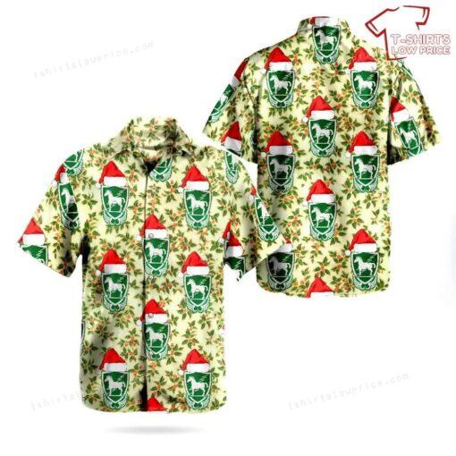 Christmas 10th Special Forces Group (United States) Hawaiian Shirt Outfit for summer